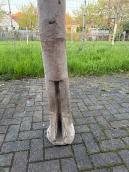 Frau und Fenster – Hauptbild